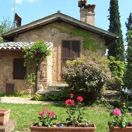 B&B Casaselita Orvieto Exterior foto