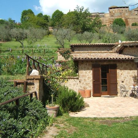 B&B Casaselita Orvieto Exterior foto