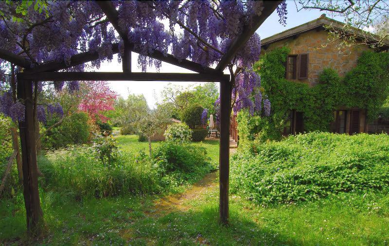 B&B Casaselita Orvieto Exterior foto